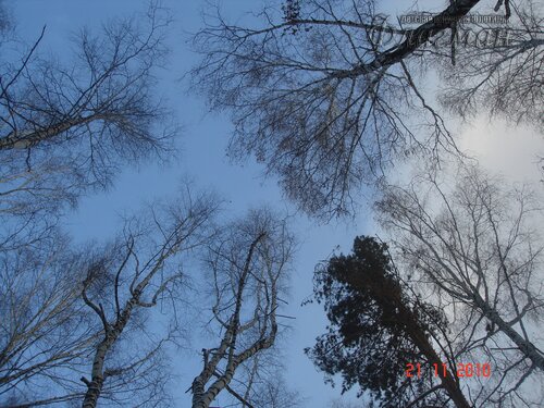 DSC04663_r